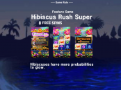 'Hawaiian Dream Xmas' by 'Japan Technicals Games'. Click the image to enlarge.