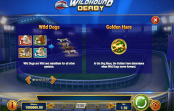 'Wildhound Derby' by 'Play'n GO'. Click the image to enlarge.
