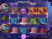 'Wilderland' by 'Net Entertainment'. Click the image to enlarge.