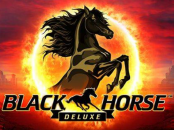 'Black Horse Deluxe' by 'Wazdan'. Click the image to enlarge.