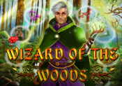 'Wizard of the Woods' by '2By2 Gaming'. Click the image to enlarge.
