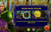 'Wizard of the Woods' by '2By2 Gaming'. Click the image to enlarge.
