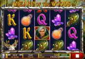 'Wizard of the Woods' by '2By2 Gaming'. Click the image to enlarge.