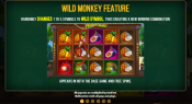 'Monkey Slots' by 'Synot Games'. Click the image to enlarge.