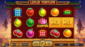 'Lotus Fortune' by 'NetGame'. Click the image to enlarge.