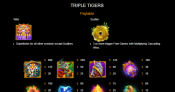 'Triple Tigers' by 'Realtime Gaming'. Click the image to enlarge.