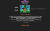 'Witchcraft Riches' by 'BGAMING (SoftSwiss)'. Click the image to enlarge.